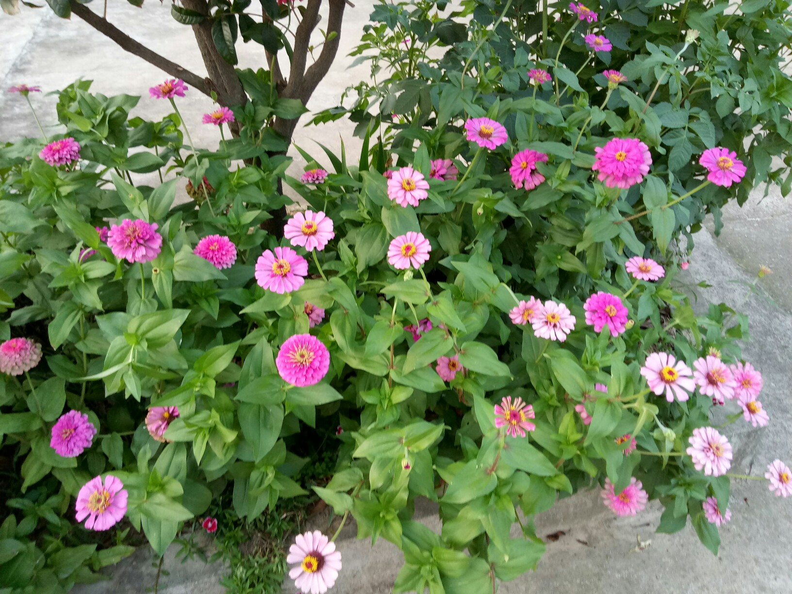 九游官网首页-关于2?厝%?Z.?rQl	3?哉豉耋^P囁€%鉸	uU颩亘6的信息