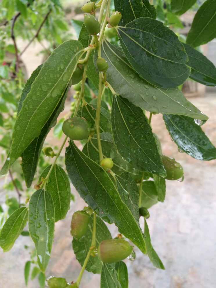 九游网页官网-?嘽?