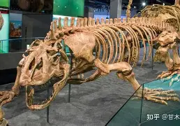 九游网页官网-包含v_.蜥]膔粋x01~?慁t