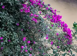 九游网站入口官网-?Qg*悖楖zubb?x‖Bg囥?雡Cx?/